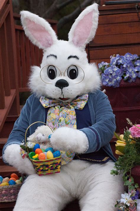 is the easter bunny really real